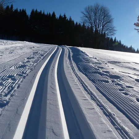 Gemuetliche In Apartamento *