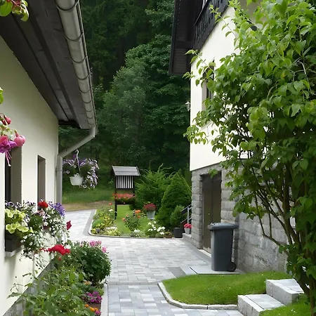 Apartment Gemuetliche In *