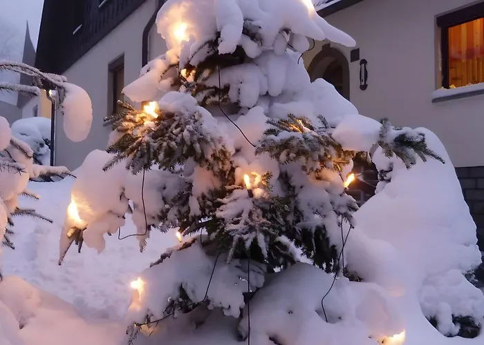 Апартаменты Gemuetliche In Хольцхау