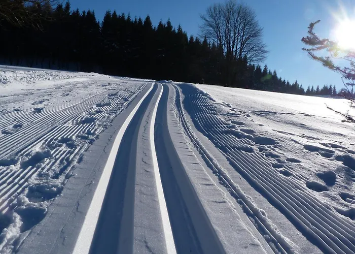 Gemuetliche In Апартаменты *