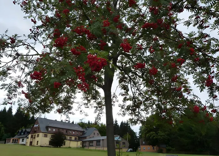 Апартаменты Gemuetliche In