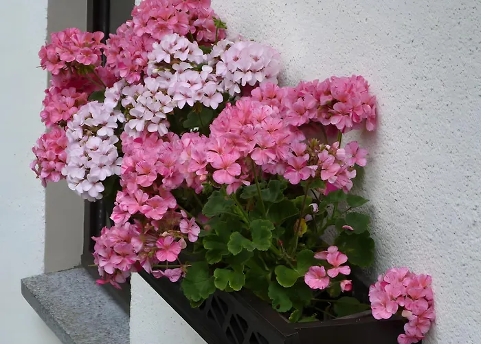 Gemuetliche In * Хольцхау