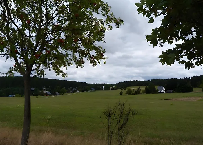 Апартаменты Gemuetliche In Хольцхау